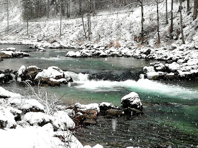 Penzion Black Sheeps Adventures Wildalpen Zewnętrze zdjęcie