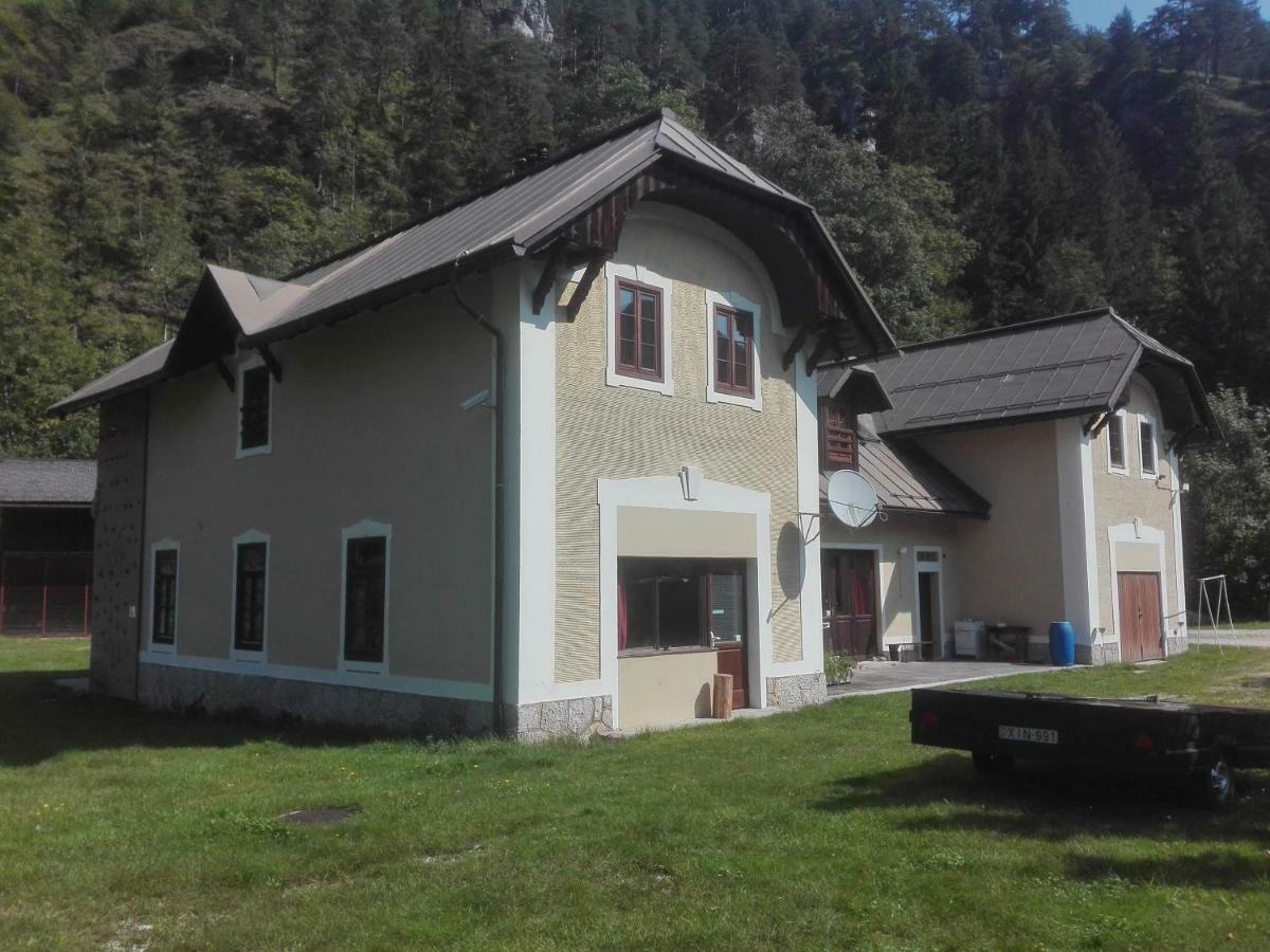 Penzion Black Sheeps Adventures Wildalpen Zewnętrze zdjęcie