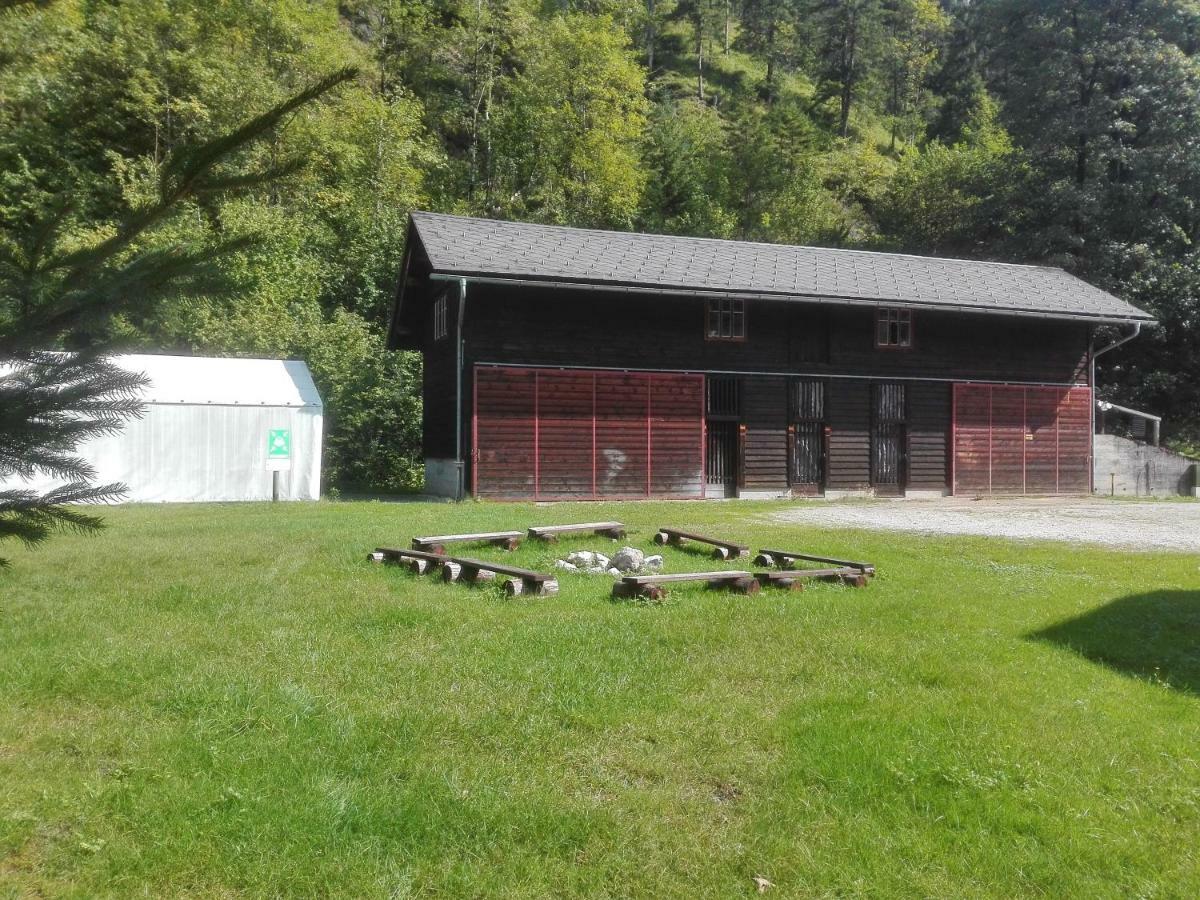 Penzion Black Sheeps Adventures Wildalpen Zewnętrze zdjęcie